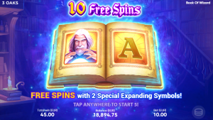 Book of wizard features